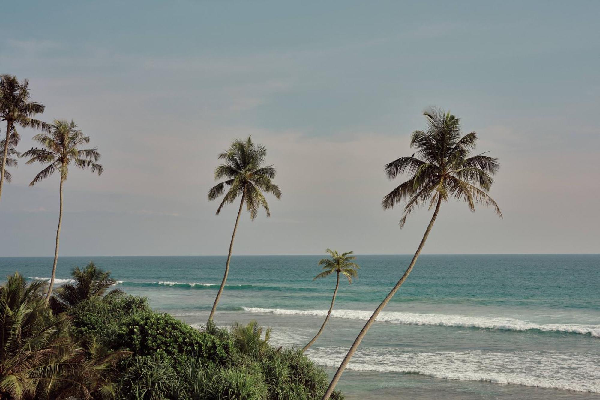 Gitano Surf Ahangama Beachfront מראה חיצוני תמונה